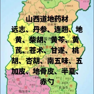 商家头像