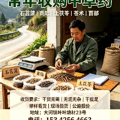商家头像