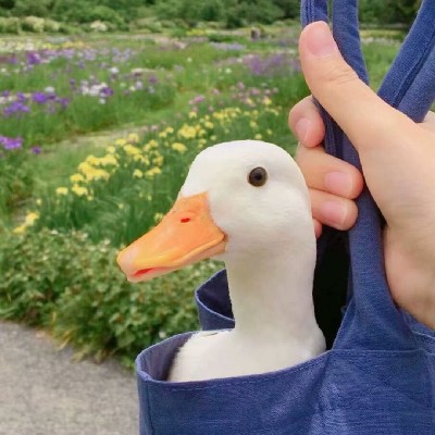 商家头像