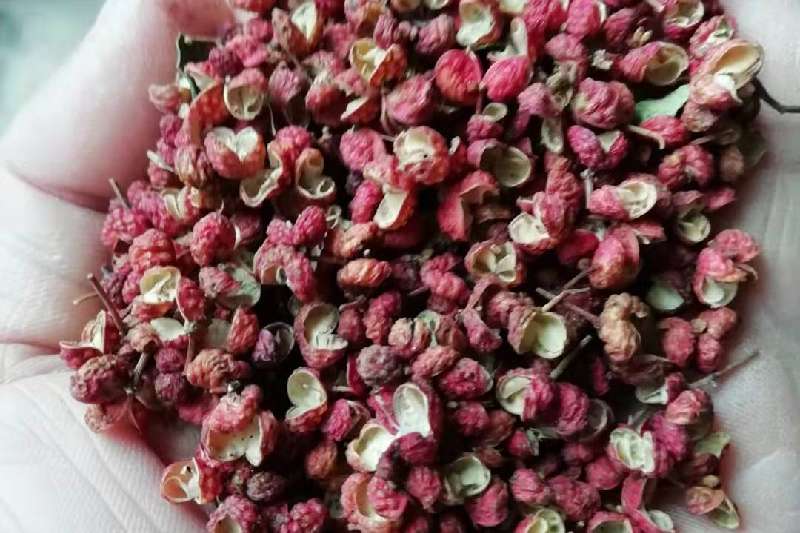 陕西省渭南市华阴市店铺简介:我店主营野菊花,丹参,连翘,五味子等,本