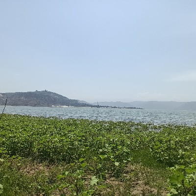 商家头像