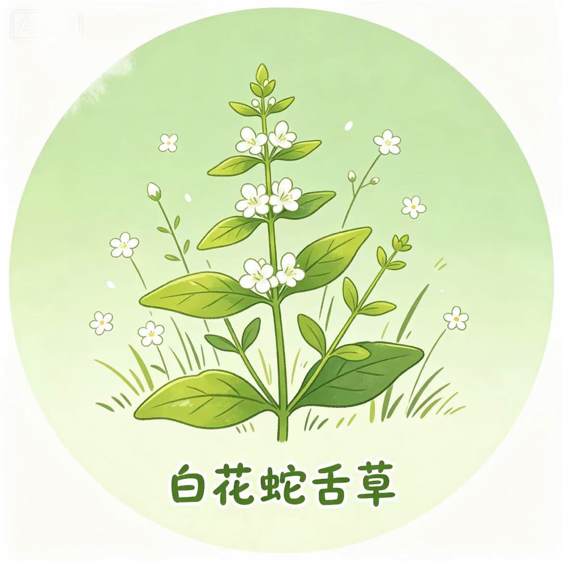 商家头像