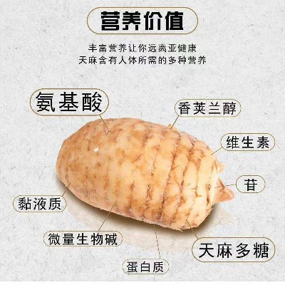 商家头像