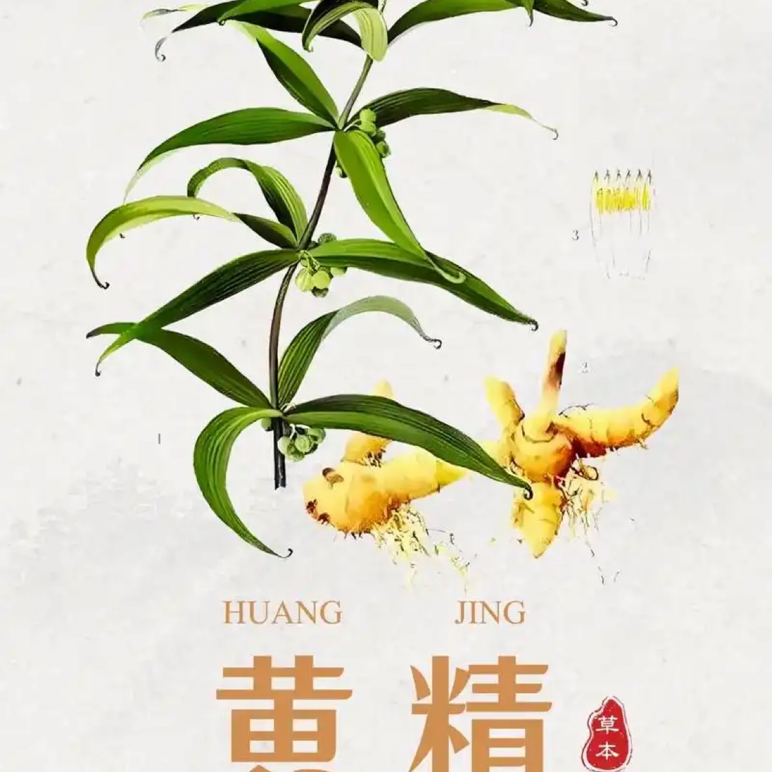 商家头像