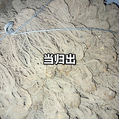 商家头像