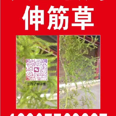 商家头像