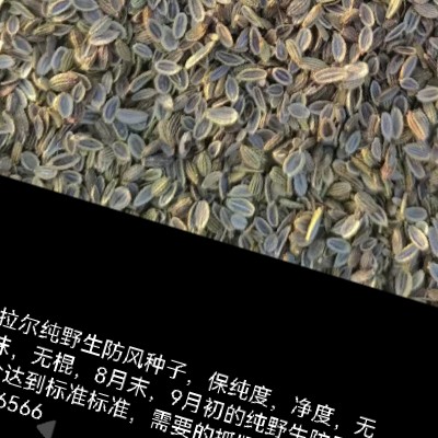 商家头像
