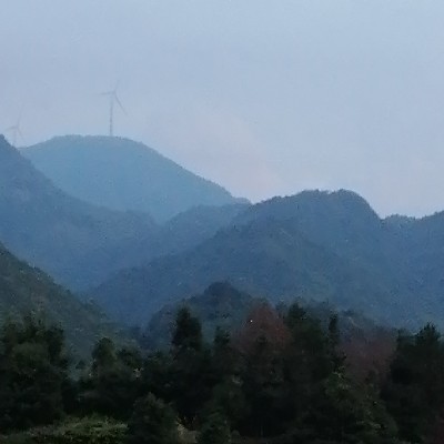 商家头像