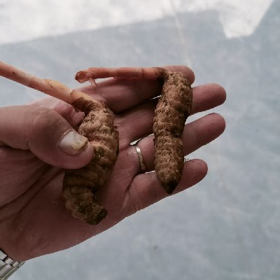 商家头像