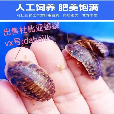 商家头像