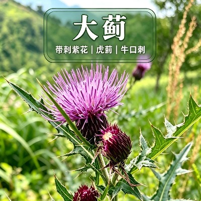 商家头像