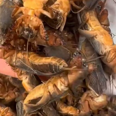 商家头像