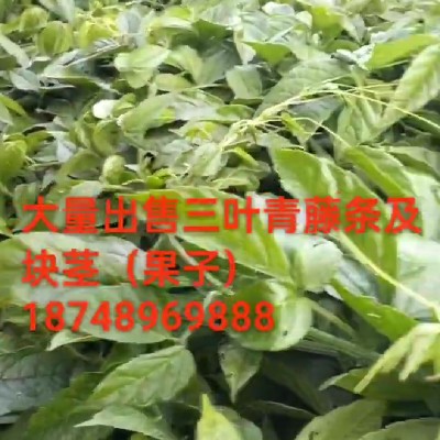 商家头像