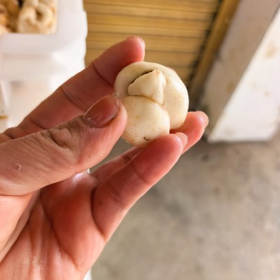 商家头像