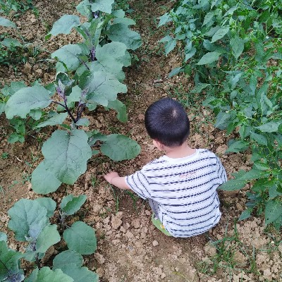 商家头像