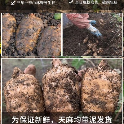 商家头像
