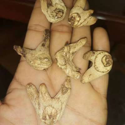 商家头像