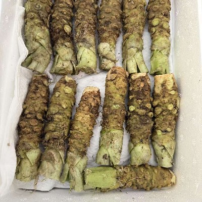商家头像