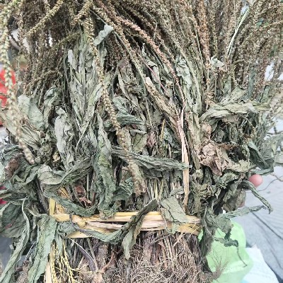 商家头像