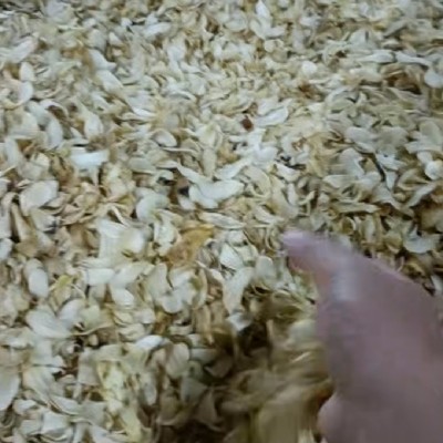 商家头像