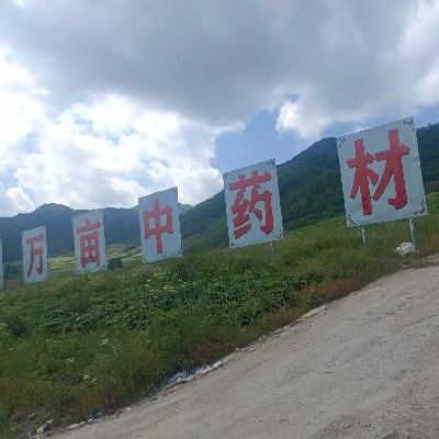 商家头像
