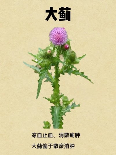 商家头像