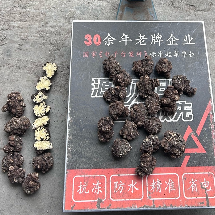 商家头像