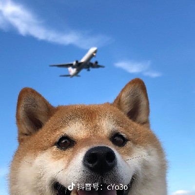 商家头像