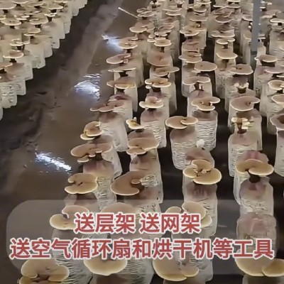 商家头像