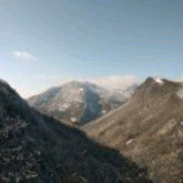 商家头像