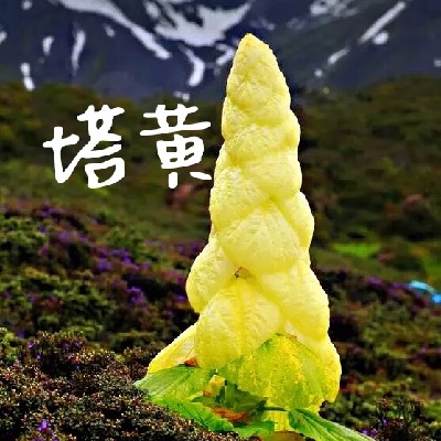 商家头像