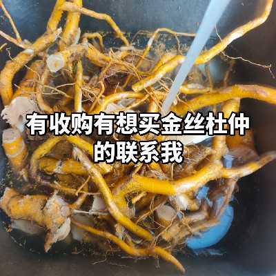 商家头像