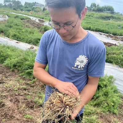 商家头像