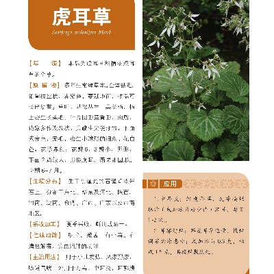 商家头像