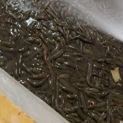 商家头像