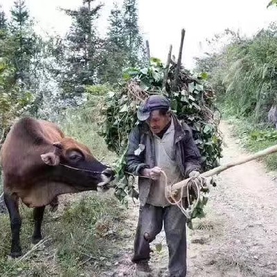 商家头像