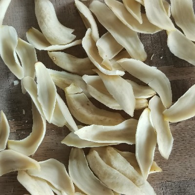 商家头像