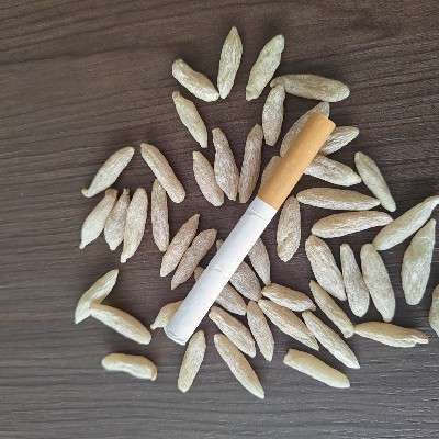 商家头像