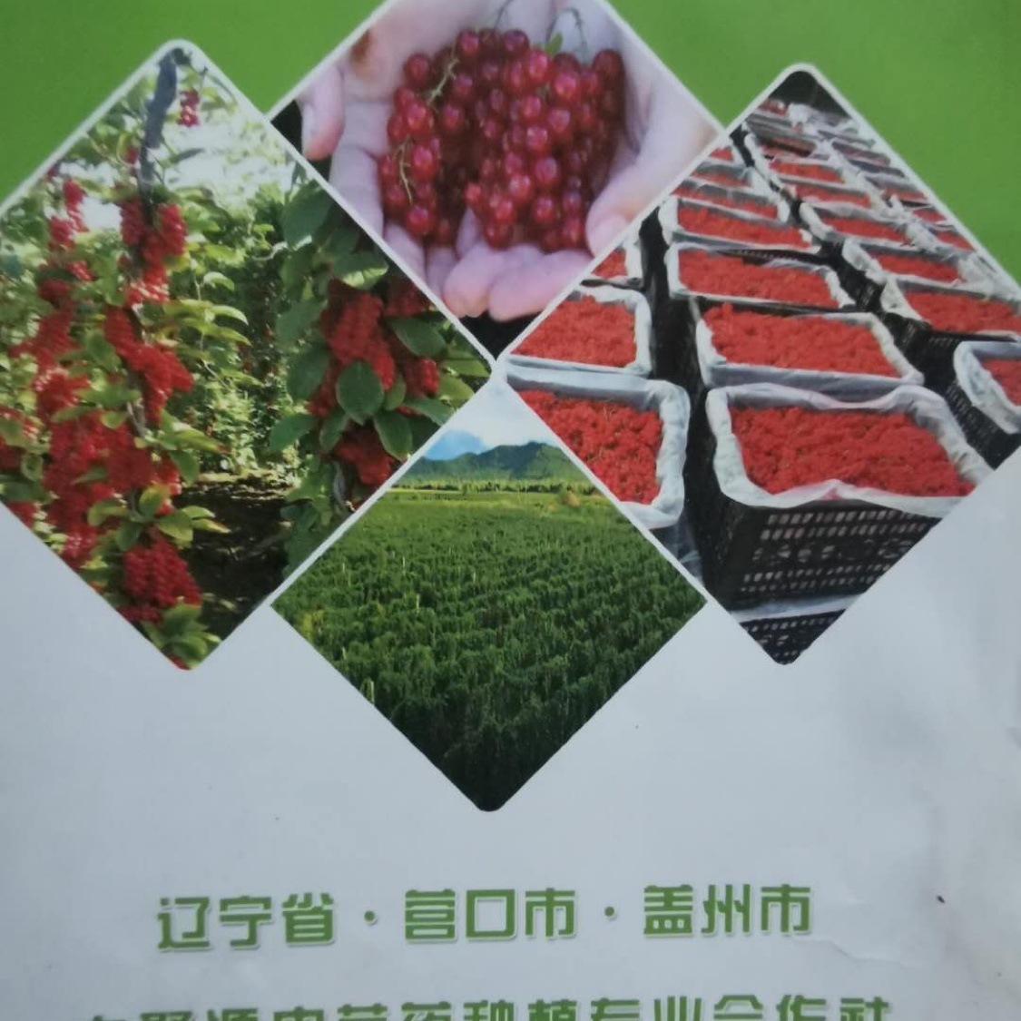 商家头像