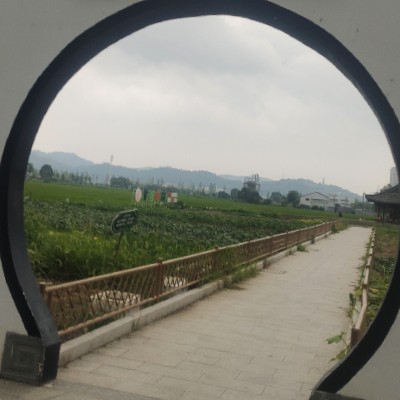 商家头像