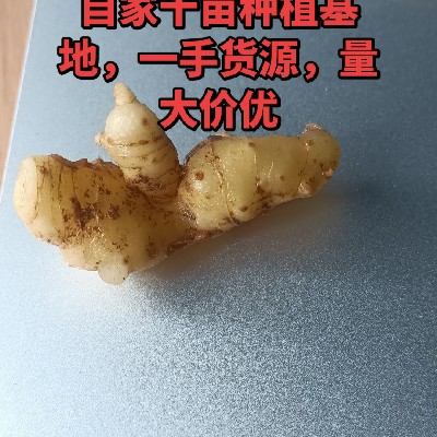商家头像