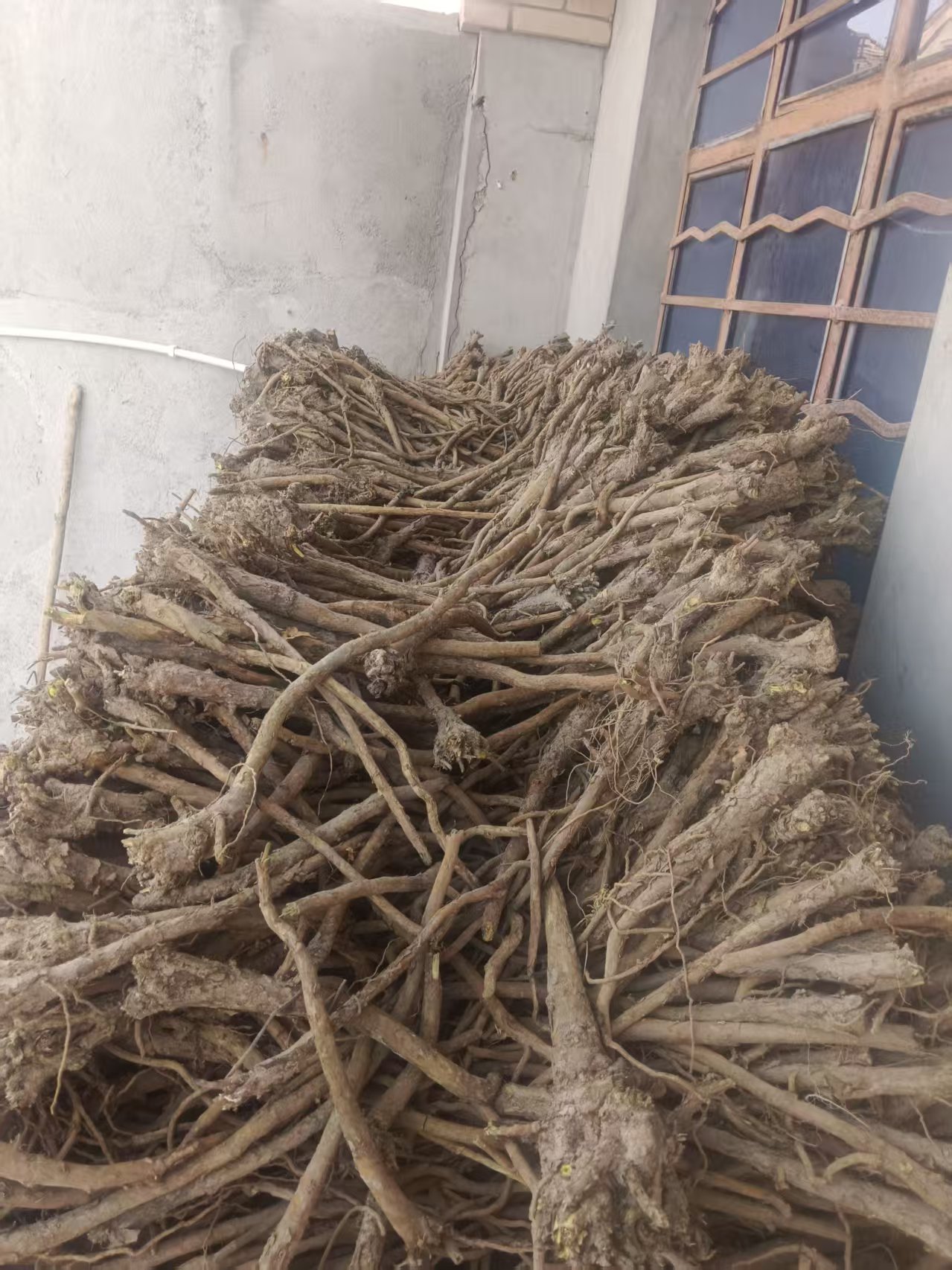 商家头像