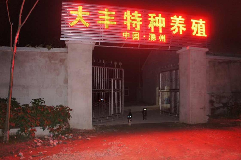 商家头像
