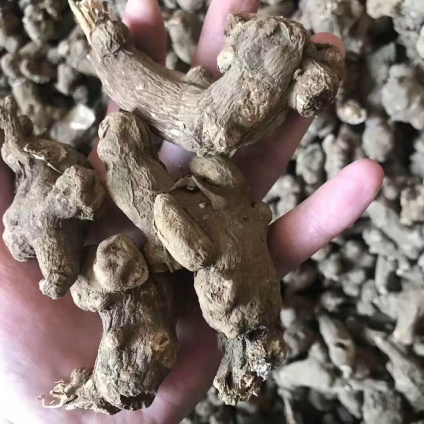 商家头像