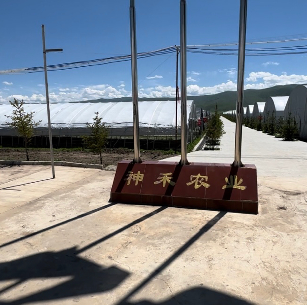 商家头像