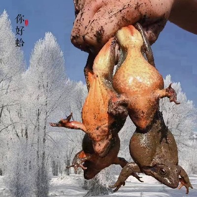 商家头像