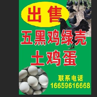 商家头像