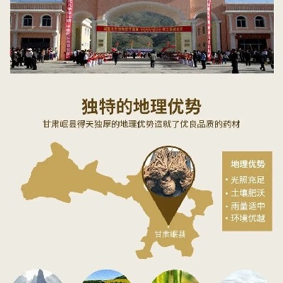 商家头像