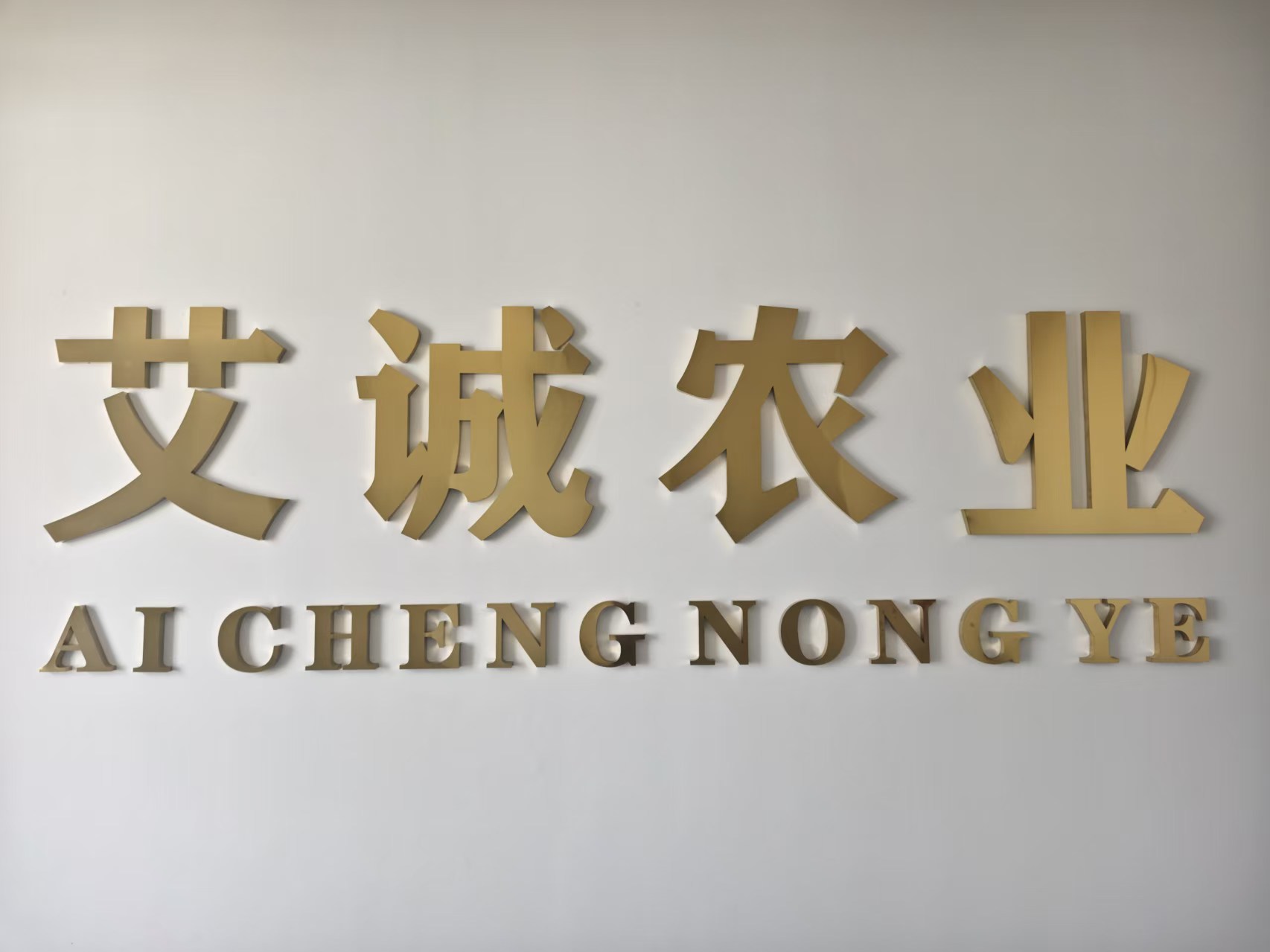 商家头像