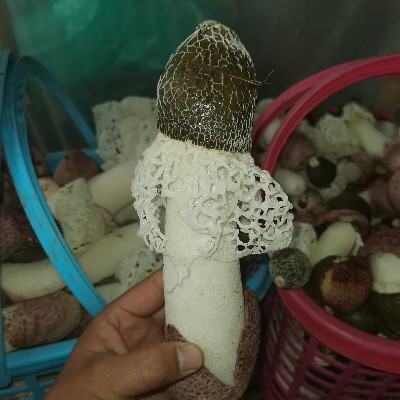商家头像